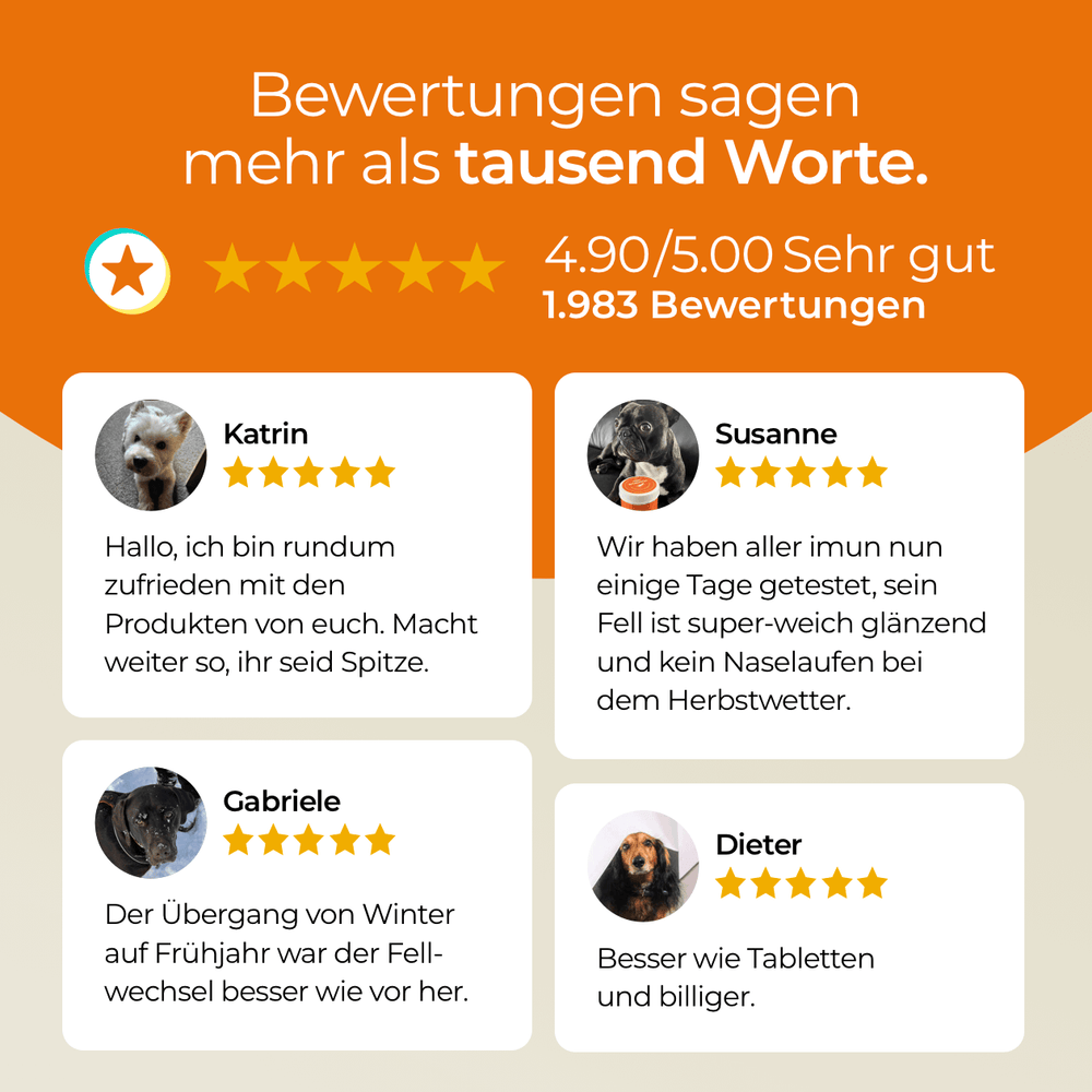 Aller-Immun mit Abwehrkomplex