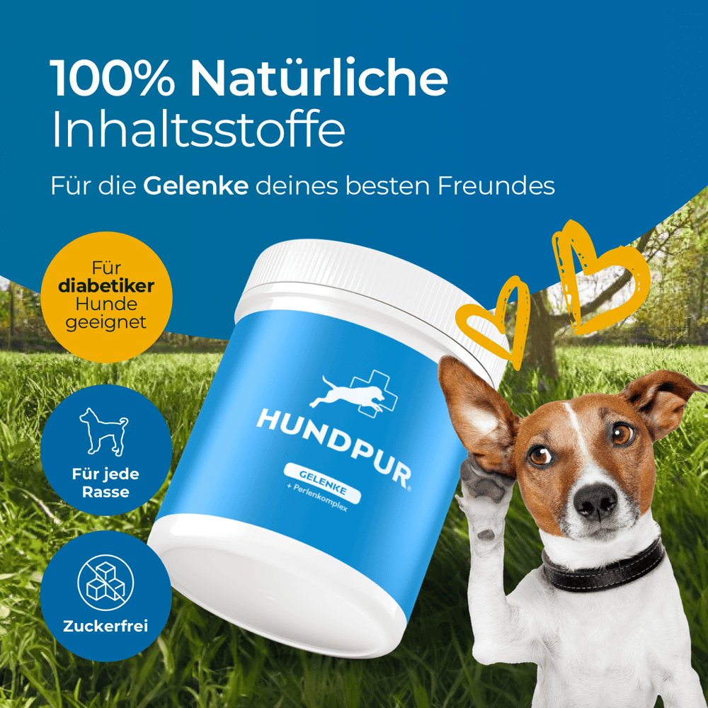 Gelenke mit Grünlippmuschel