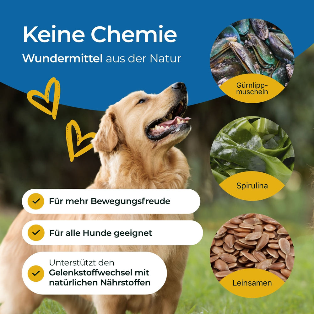 Gelenke mit Grünlippmuschel