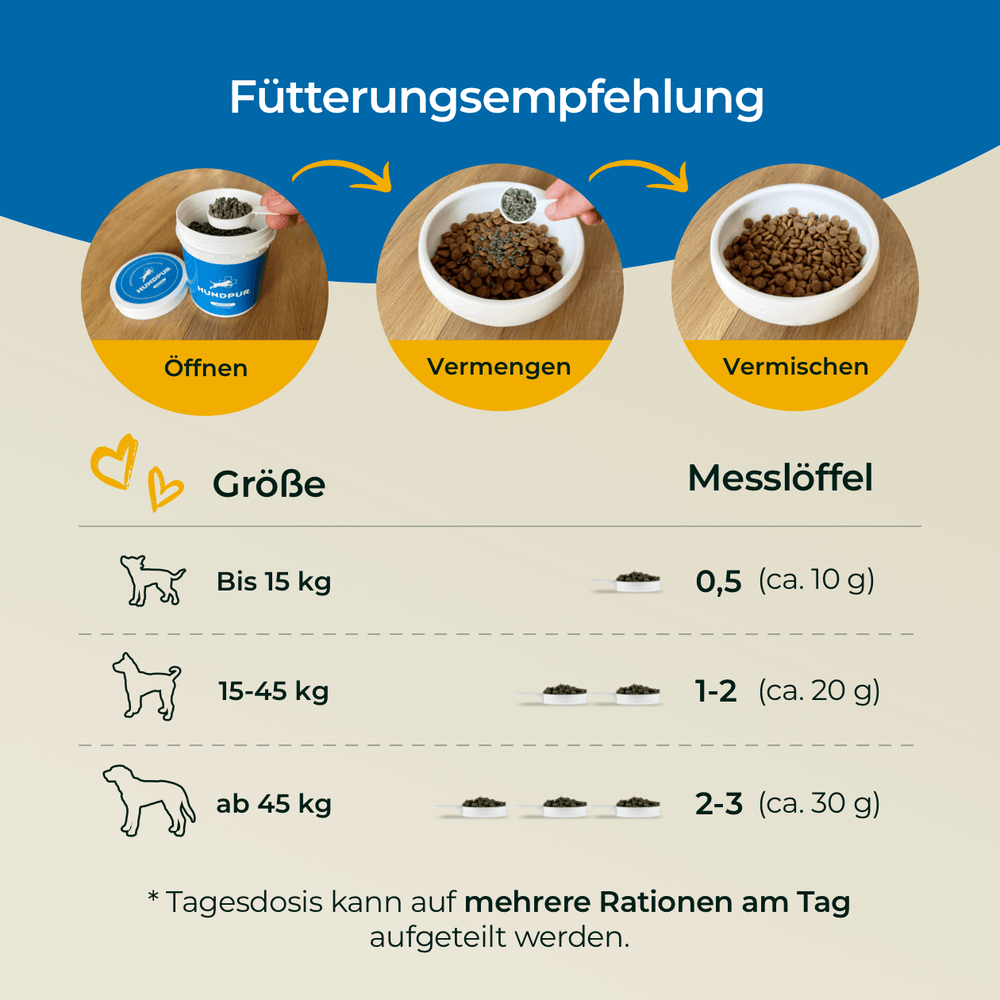 Gelenke mit Grünlippmuschel
