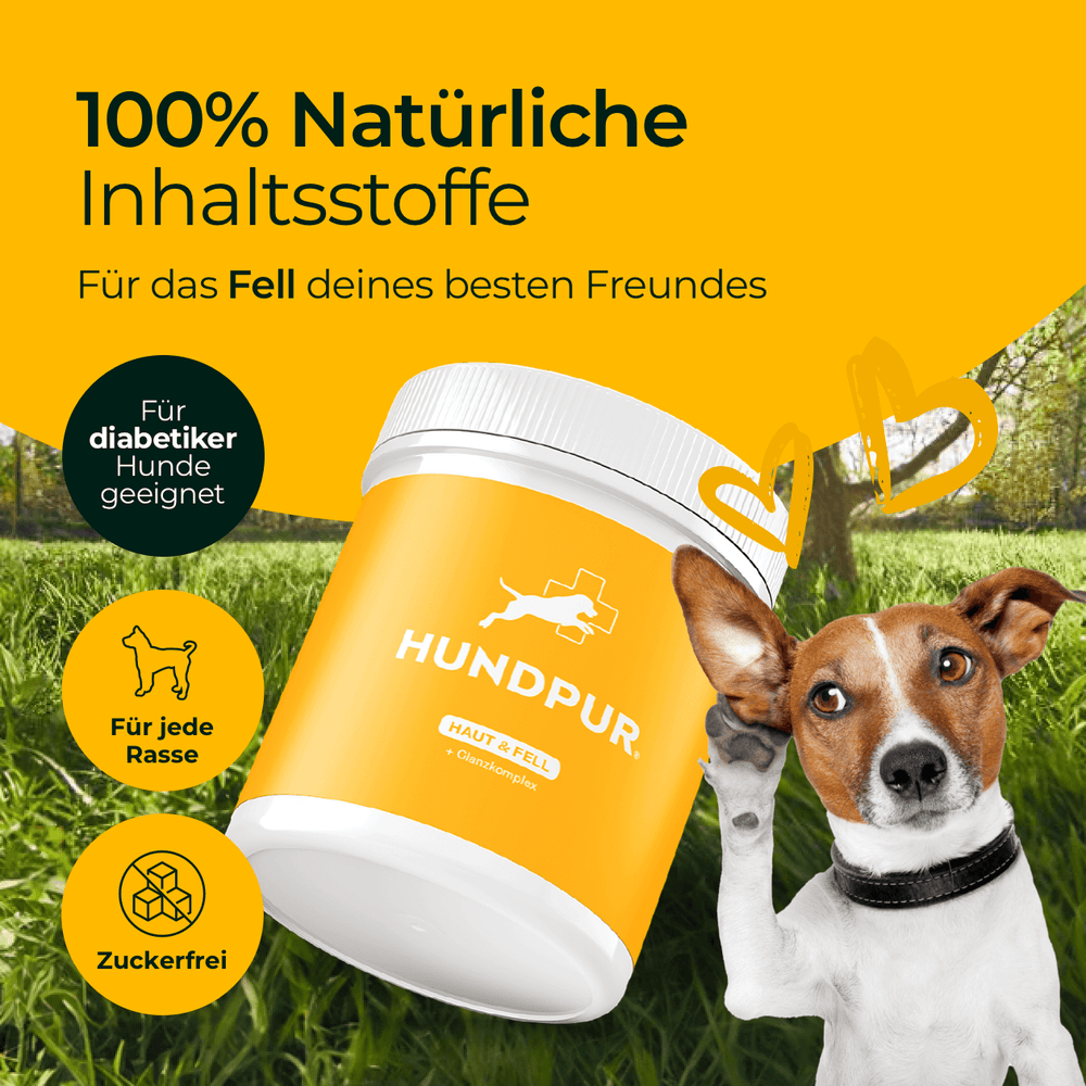 Haut und Fell