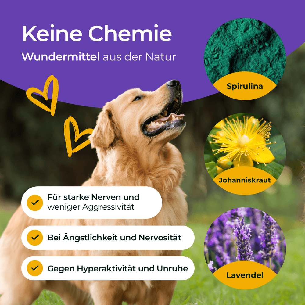 Nerven mit Glückskomplex