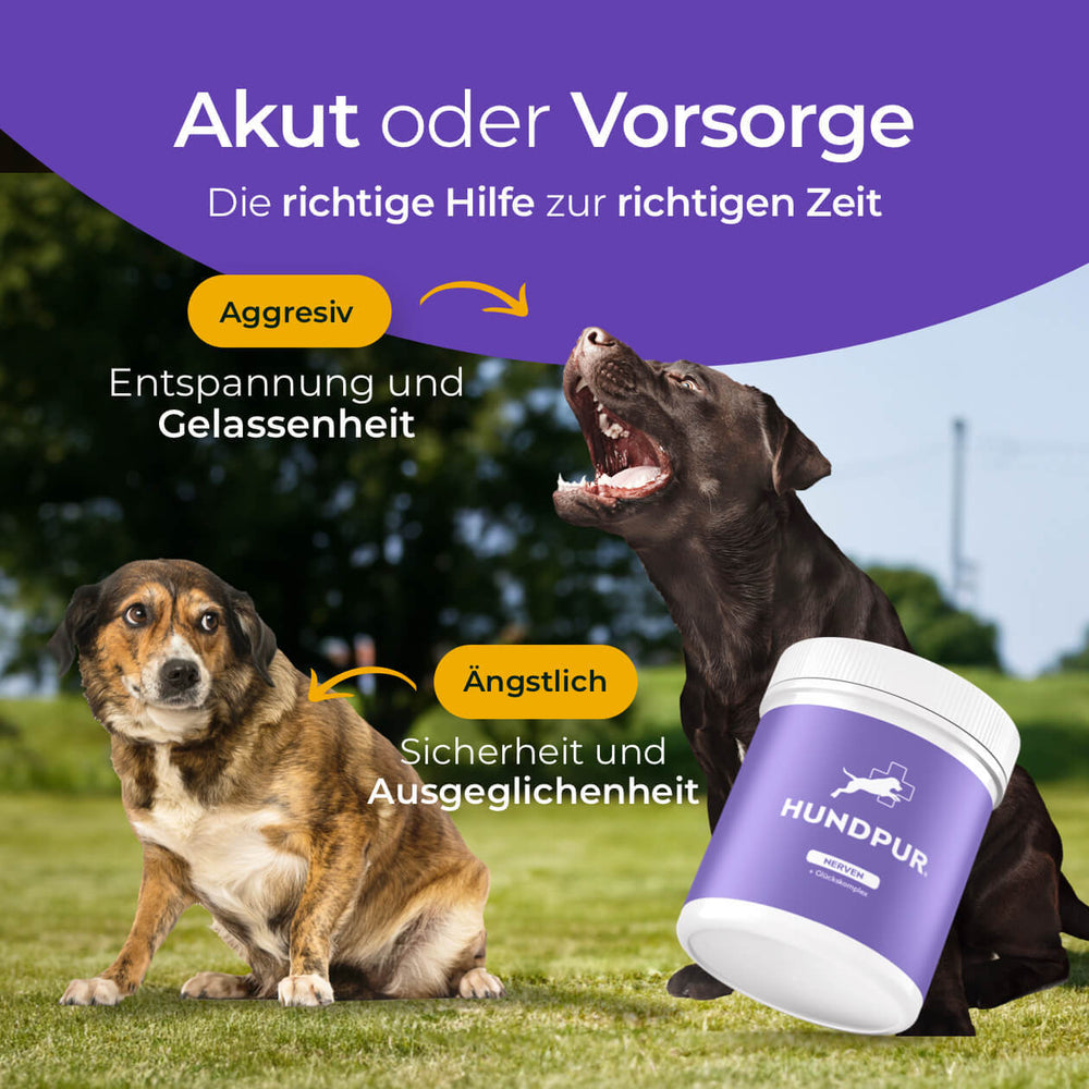 Nerven mit Glückskomplex