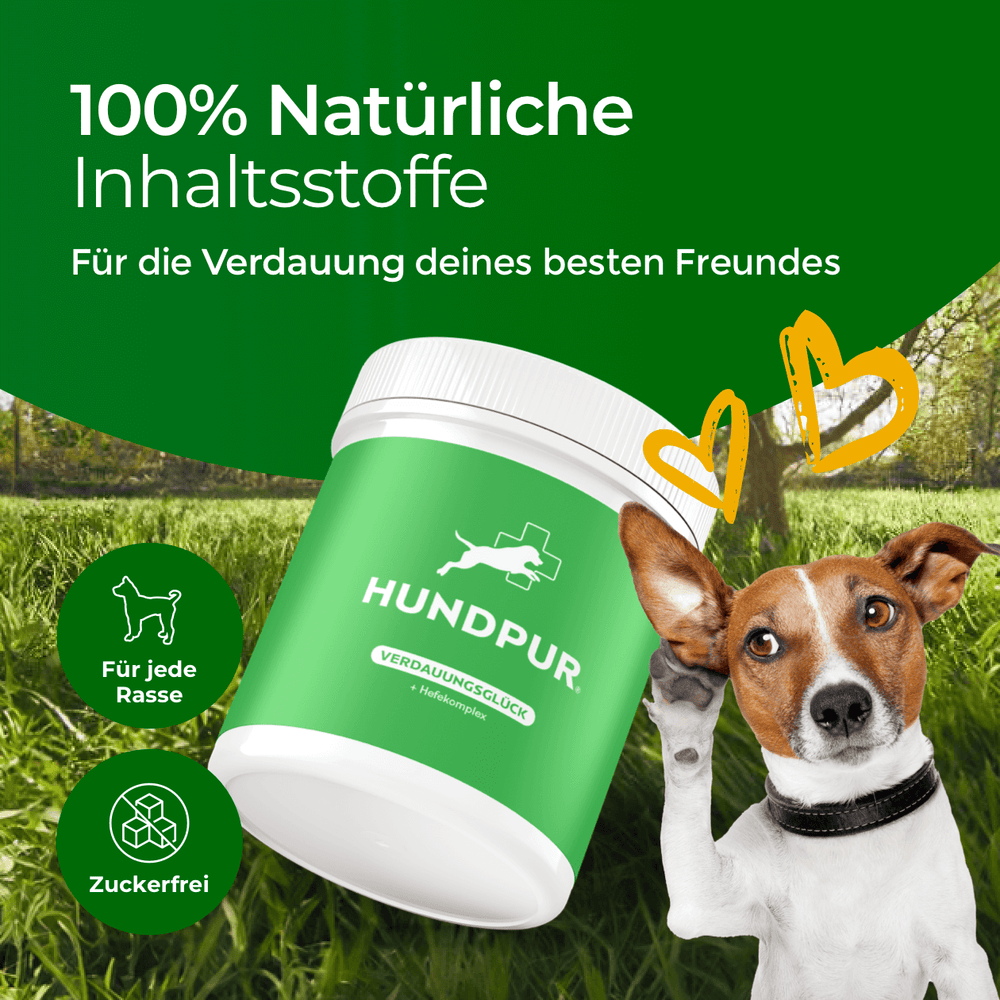 Verdauungsglück mit Probiotika