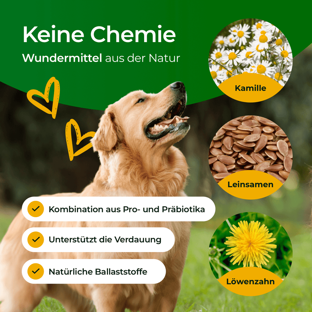 Verdauungsglück mit Probiotika