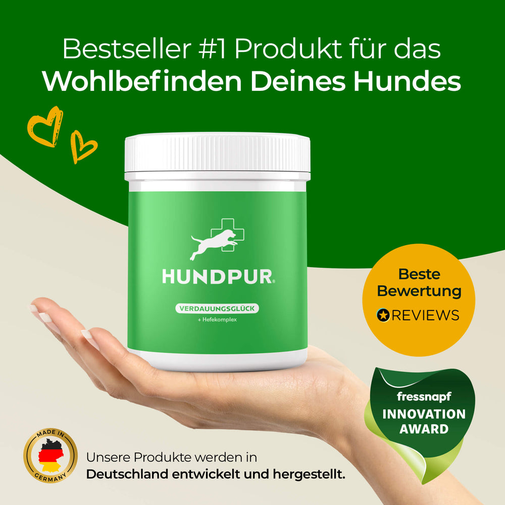 Verdauungsglück mit Probiotika