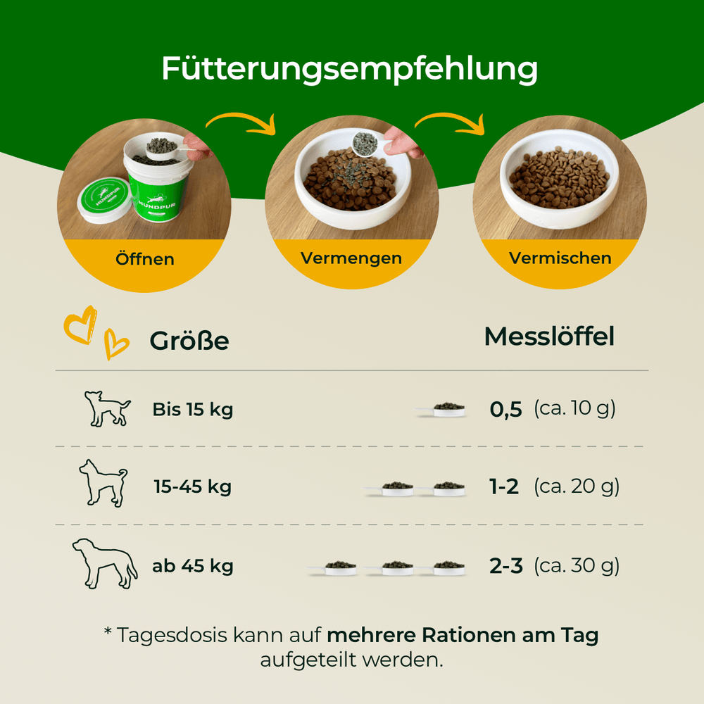 Verdauungsglück mit Probiotika