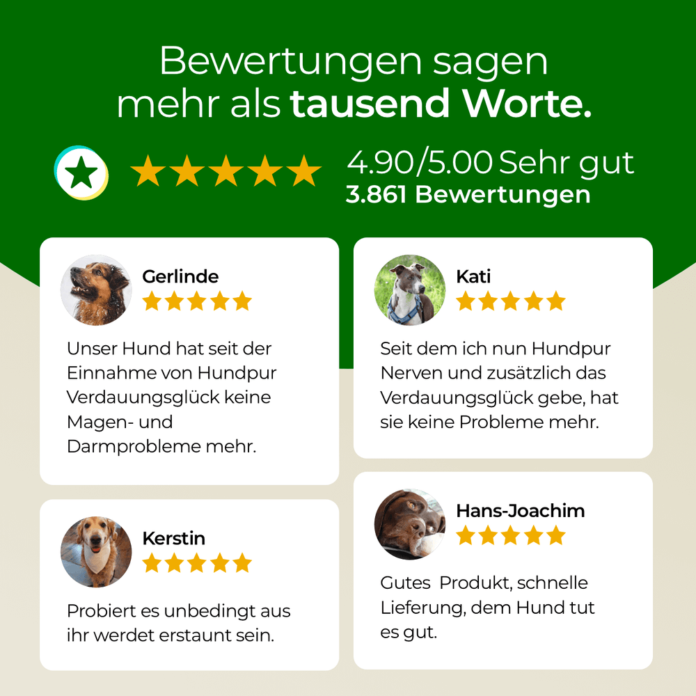Verdauungsglück mit Probiotika