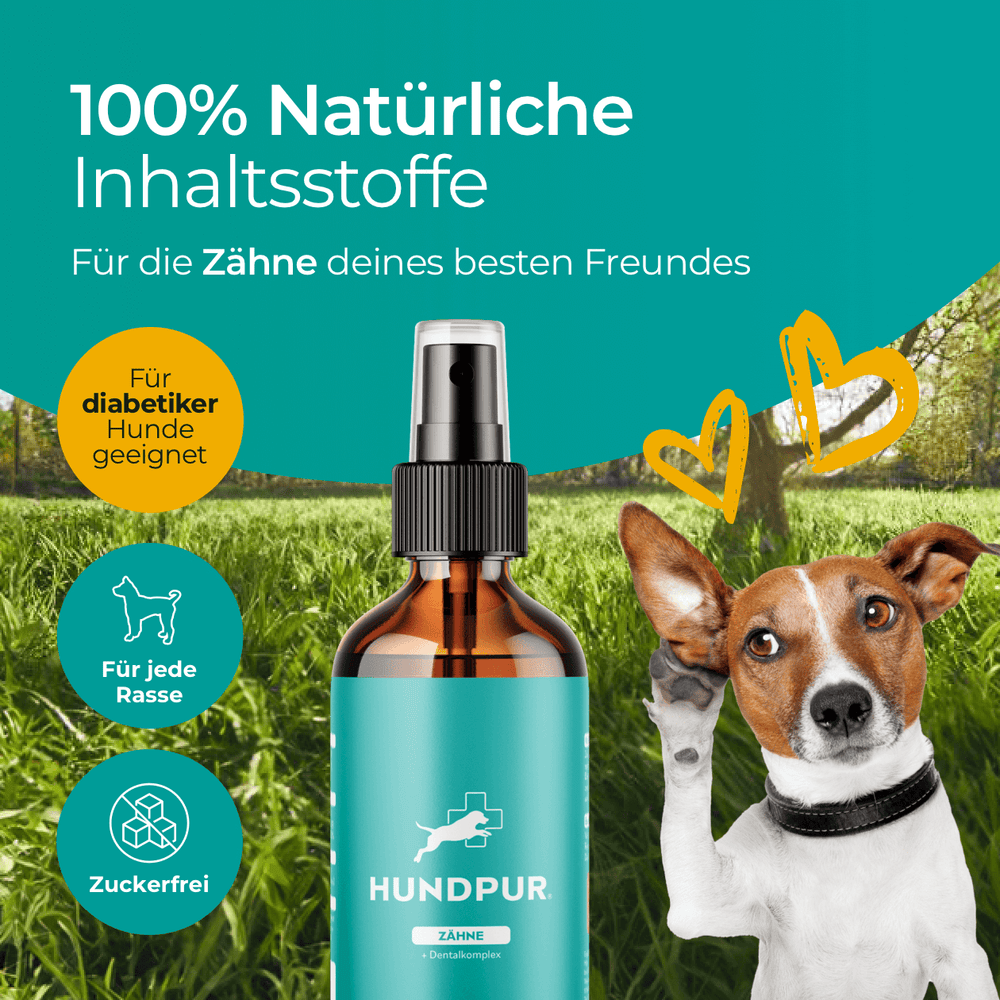 Dentalspray für Hunde