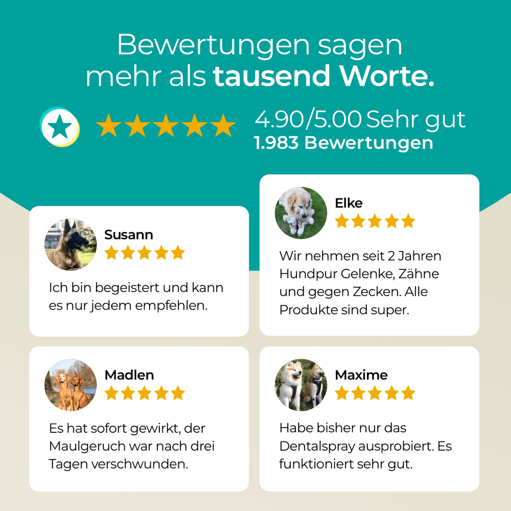 Dentalspray für Hunde