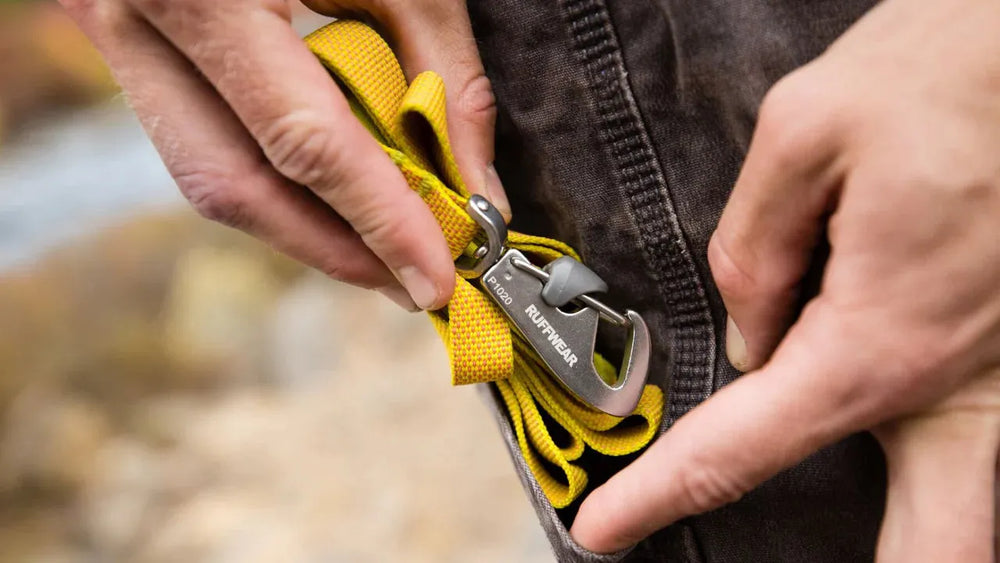 Person befestigt einen gelben Karabinerhaken von RUFFWEAR an einer leichten Hundeleine.