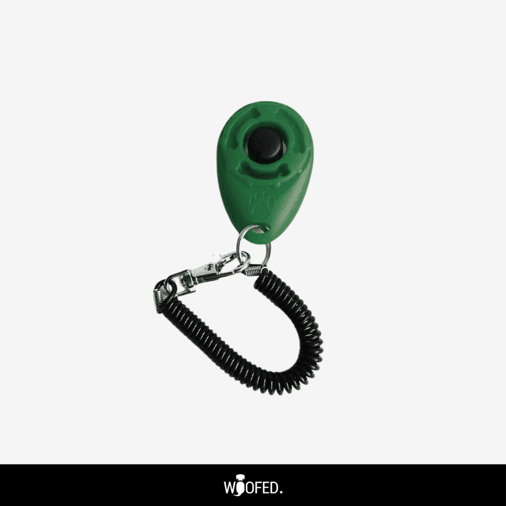 Grüner Hundetraining-Klicker mit runder Taste und Spiralschnur, ideal zur positiven Verstärkung beim Hundetraining.