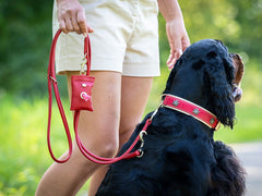 Person mit Hund an roter Leine im Freien, trägt kurze hellbeige Shorts und genießt den Spaziergang.