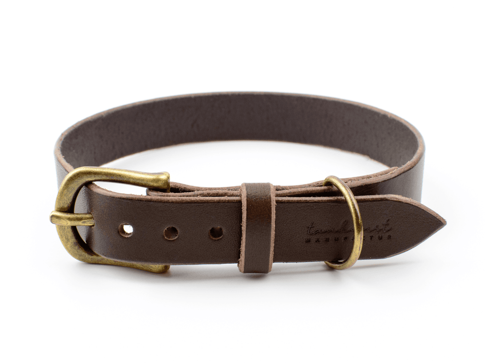 Braunes Leder-Welpenhalsband mit goldfarbener Schnalle und verstellbaren Löchern für optimale Passform.