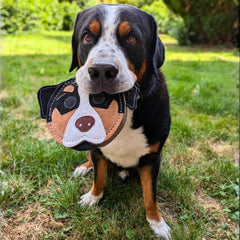 Hund mit schwarz-braunem Fell hält ein hundekopf-förmiges Spielzeug auf grüner Wiese. Natürliche Hundespielzeuge.