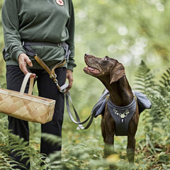 Person mit Gürteltasche Expedition Belt ECO, Hund im Geschirr, waldähnliche Umgebung, grüner Kleidung, geflochtener Korb, Natur.