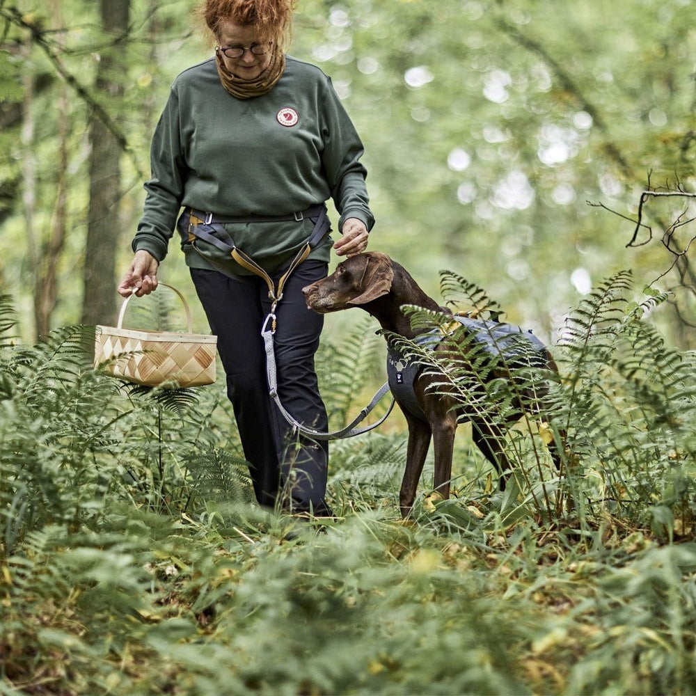 Gürteltasche Expedition Belt ECO bei Waldspaziergang mit Hund und Korb, Person im grünen Pullover, umgeben von Farnen.