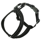 Schwarzes Hundegeschirr Casual Y-Harness ECO mit reflektierenden Nähten und verstellbaren Riemen für optimalen Sitz.