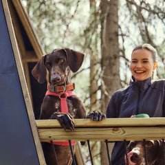 Dunkler Hund im roten Casual Y-Harness ECO Geschirr auf Holzgeländer, neben Person in Jacke; Hintergrund: Bäume, Gebäude.