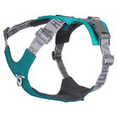 Türkis-graues Hundegeschirr Rover Harness mit verstellbaren Riemen, D-Ring aus Metall und Polsterung für Komfort. Ideal für Hundeausflüge.