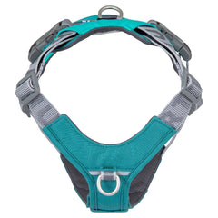 Türkisfarbenes, verstellbares Hundegeschirr Rover Harness mit grauen Details, robustem Design und Metallring zur Leinenbefestigung.