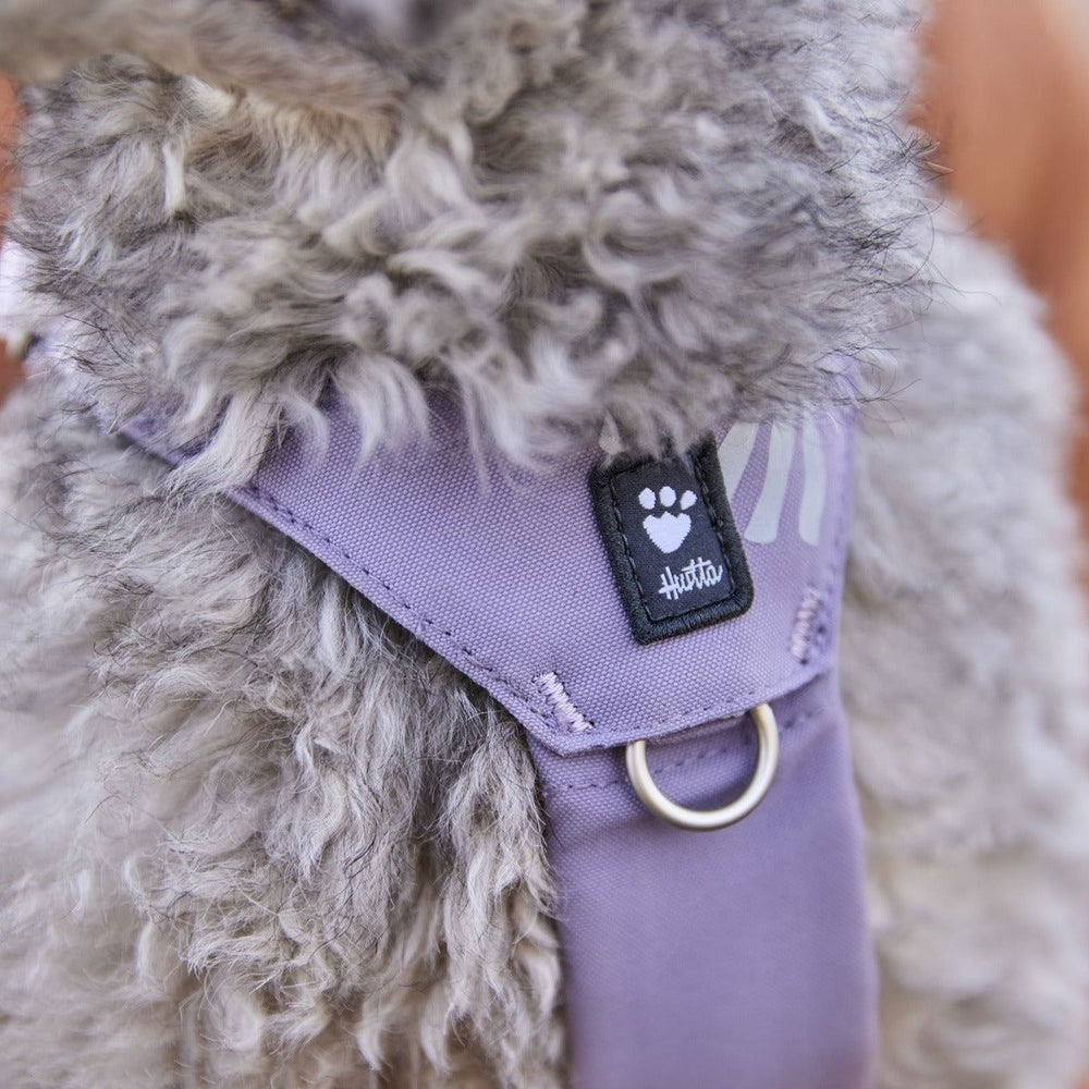 Hundegeschirr Seeker in lila, robustes Material mit Paw-Print-Logo und D-Ring zur Befestigung. Ideal für aktive Hunde.