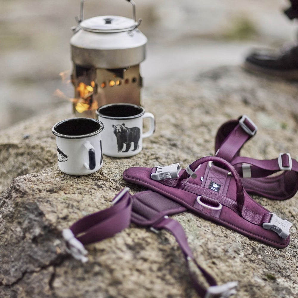 Lila Hundegeschirr Weekend Warrior Harness II Neon liegt neben Emaille-Bechern mit Tiermotiven auf Felsen, Campingkocher im Hintergrund.