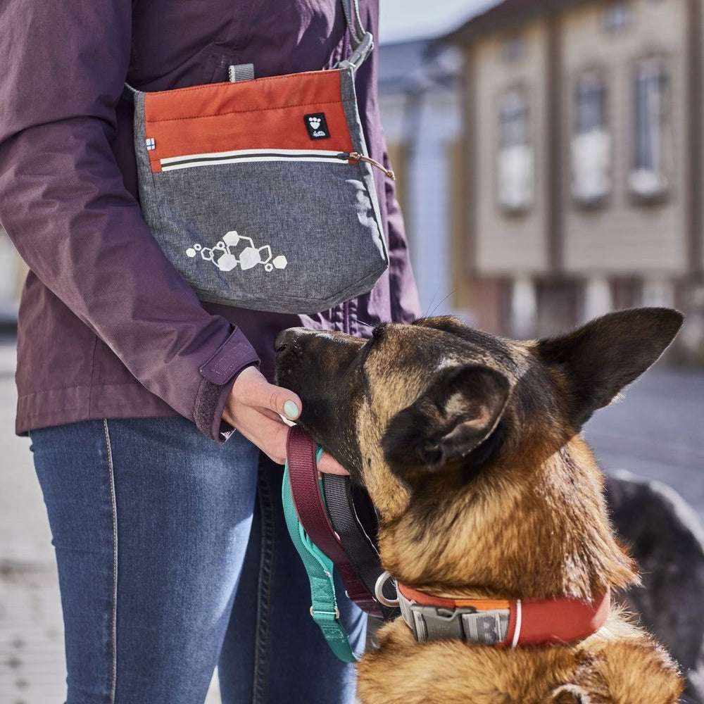 Person mit lila Jacke hält Hundeleine, während ein Hund interessiert schaut, Gürteltasche mit orangefarbenem Reißverschluss sichtbar.