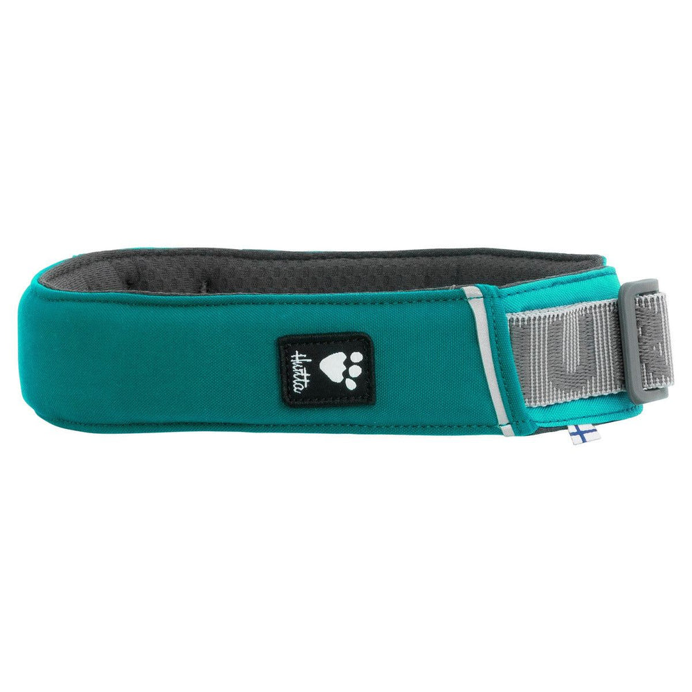 Hundehalsband Rover in Türkis mit gepolstertem Clip und grauer Schnalle für maximalen Komfort und Style.