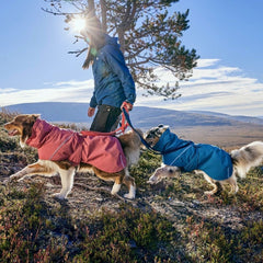 Zwei Hunde in rosa und blauen wetterfesten Jacken, spazieren unter sonnigem Himmel in hügeliger Landschaft. Hundejacke Expedition Parka II.