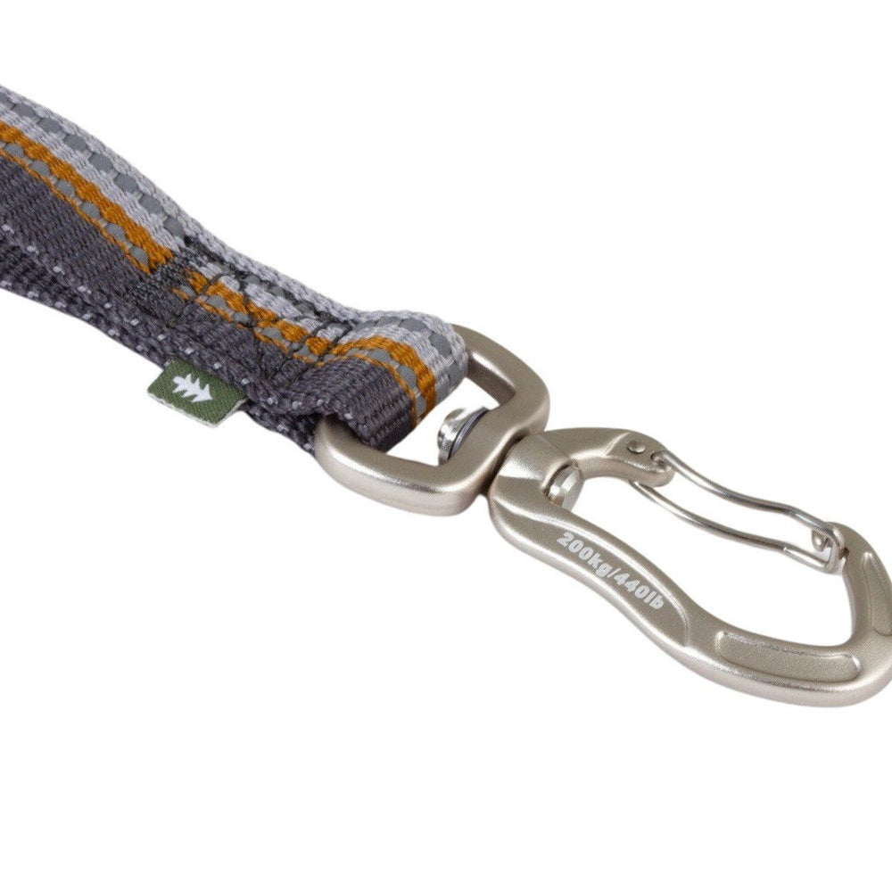 Grau-orange Hundeleine mit stabilem Karabiner, Metallaufschrift "200 kg / 440 lb", robustes Gurtband, verstellbar, umweltfreundlich