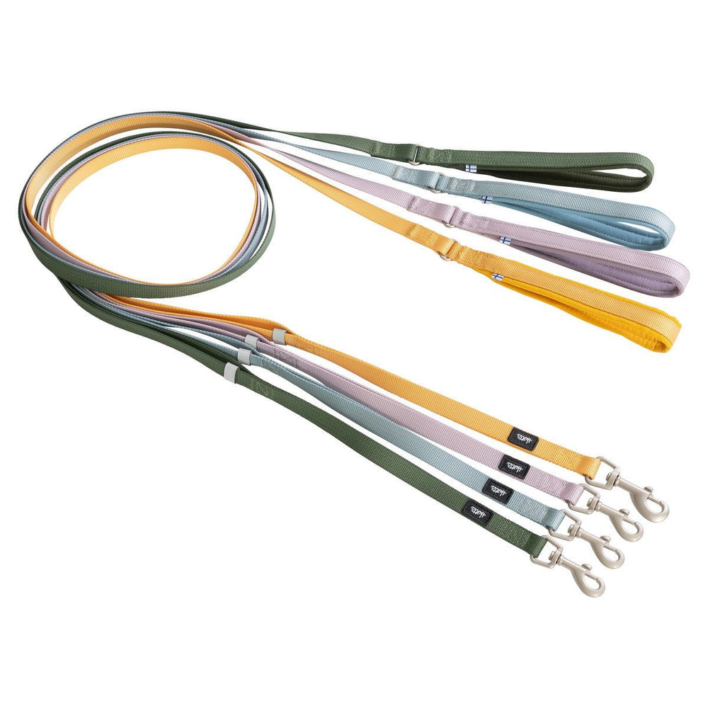 Bunte Hundeleinen aus strapazierfähigem Material mit stabilen Karabinern in Grün und weiteren Farben.
