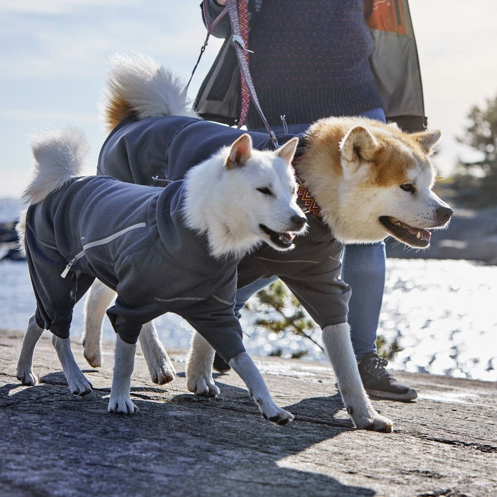 Zwei Hunde im Midlayer Overall an Leinen auf felsigem Küstenpfad, fröhlich und aktiv, mit Wasser und Küstenlandschaft im Hintergrund.