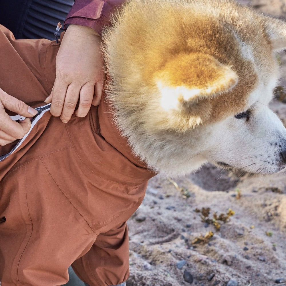 Hund in braunem Regen-Overall Mudventure ECO, im Freien auf sandigem Boden. Person zieht am Reißverschluss. Robuste Outdoor-Bekleidung.