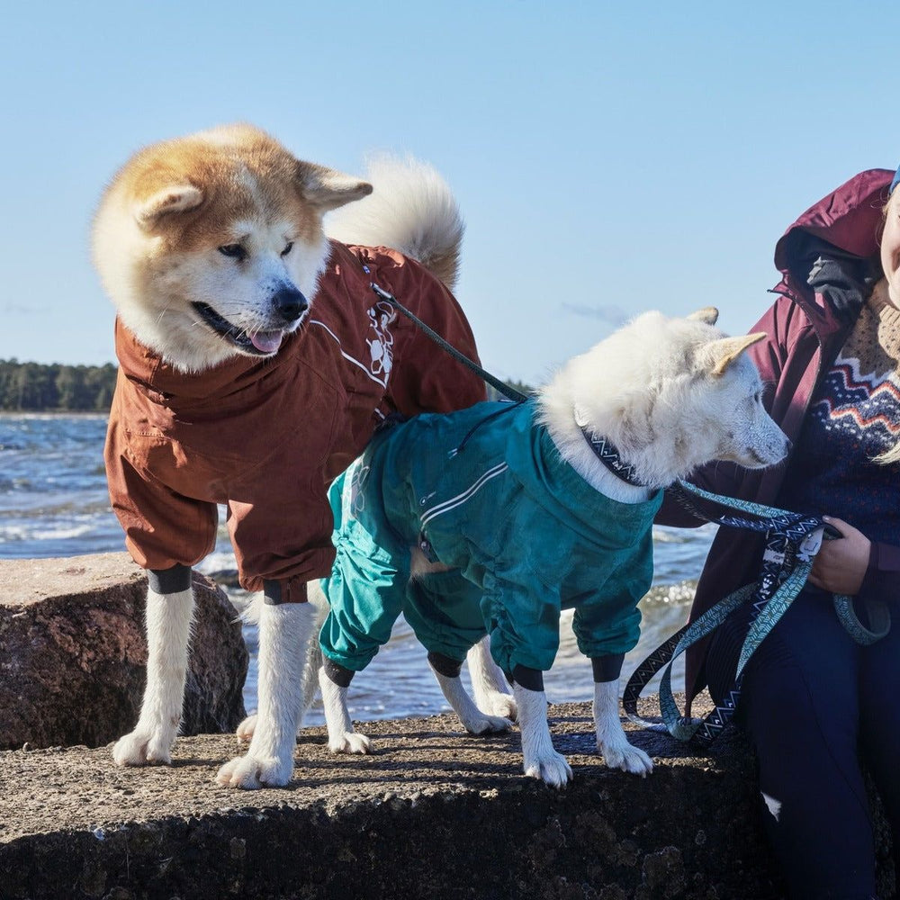Hunde in braunem und türkisfarbenem Regen-Overall Mudventure am Wasser mit einer Person in warmer Kleidung. Ideal für Outdoor-Abenteuer.