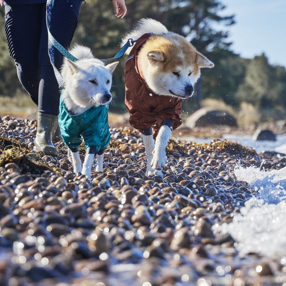 Hunde im Mudventure Regen-Overall ECO am stürmischen Strand spazierend, geführt von Person, steiniger Küste und bewölktem Himmel im Hintergrund.