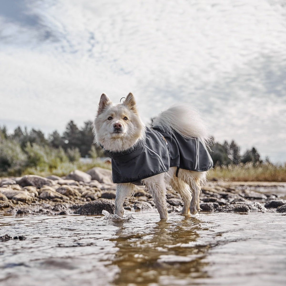Hund mit Regenmantel Mudventure Coat ECO im Wasser, bewölkter Himmel, Bäume und Felsen im Hintergrund