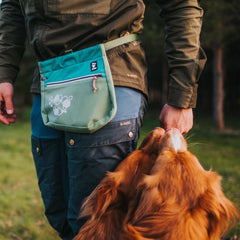 Grüne Snackbeutel Gürteltasche für Hunde, Mensch gibt Leckerbissen, Outdoor-Nutzung, ideal für Training und Spaziergänge mit Hund.