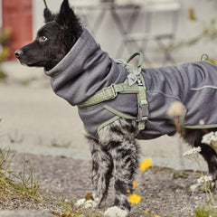 Hund mit grauem Wendejacke Outfit und geometrisch gemustertem Gurtzeug in blühender Outdoor-Umgebung.