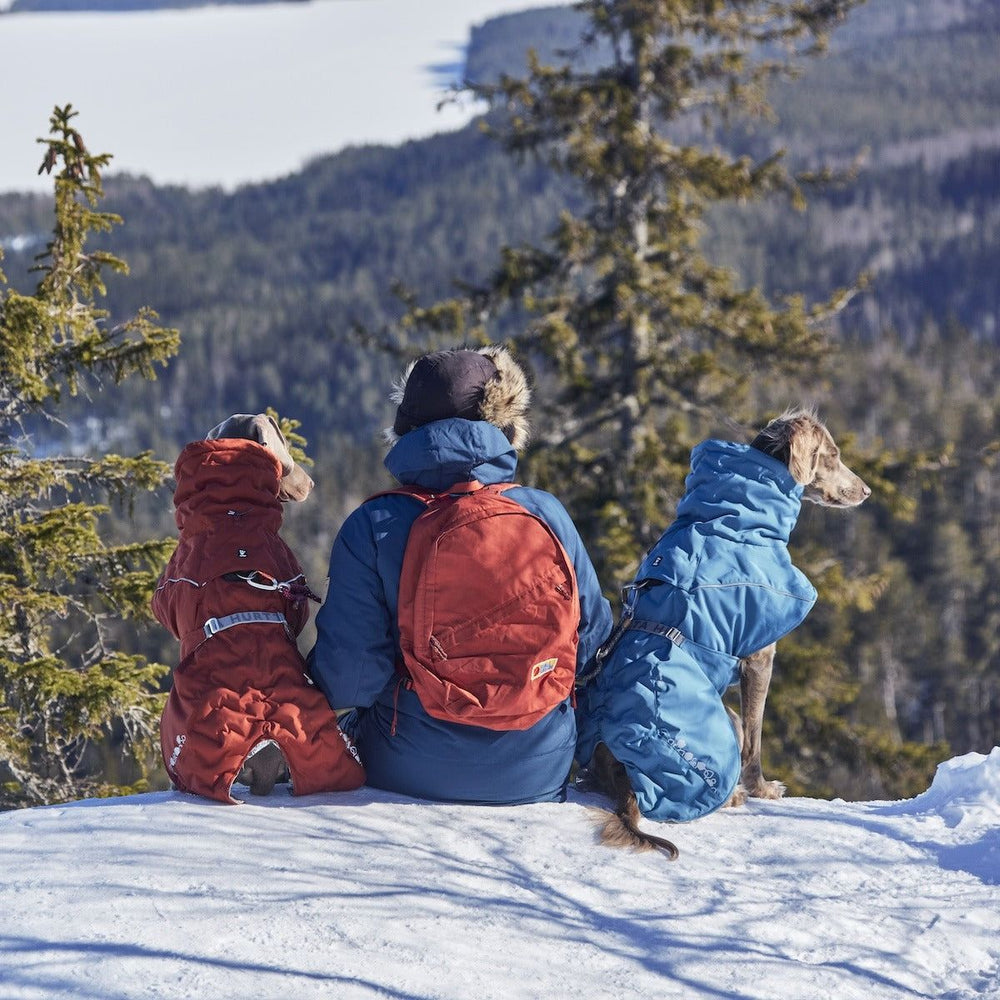 Person mit Winterjacke ECO auf verschneitem Hügel, zwei Hunde in Jacken, roter Rucksack, Wald und gefrorene Wasserflächen im Hintergrund.