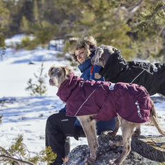 Person in blauer Winterjacke Extreme Warmer III ECO mit Fellkapuze, begleitet von zwei Hunden in Mänteln, vor schneebedeckten Bäumen
