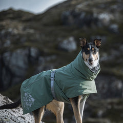 Hund in grünem Mantel mit Muster und hohem Kragen, vor felsiger Landschaft. Winterjacke für extreme Wärme im Outdoor-Einsatz.