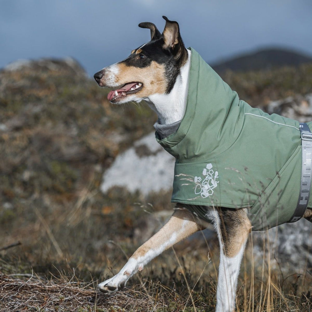 Grüne Winterjacke für Hunde, hoher Kragen, Gurt, dezentes Muster, natürliche Umgebung mit Felsen und Gras im Hintergrund.