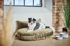 "Grünes ovales Hundebett LUNA LOUNGE mit Deko-Kissen, hundefreundlich und stilvoll in einem modernen Raum."