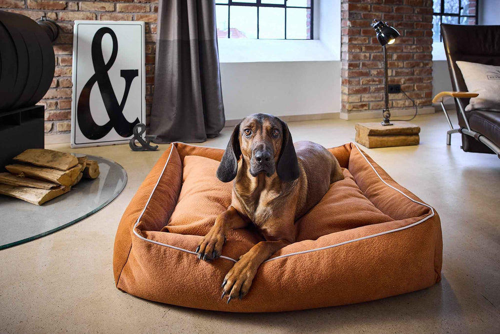 "Brauner Hund entspannt auf dem orangefarbenen CLASSIC Hundebett BUFFALO in modernem Interior mit Ziegelsteinwand."