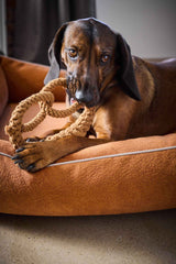 "Brauner Hund spielt mit Mini Brezel Seilspielzeug im beigen Hundebett, Hintergrund unscharf."
