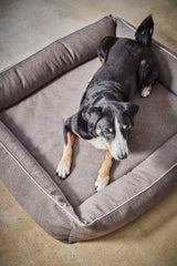 Entspannter Hund auf grauem ORTHO Hundebett BUFFALO mit erhöhten Rändern und hellem Kanten, hellen Boden im Hintergrund.