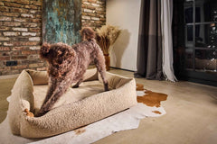 "Rudi Rentier – Spielzeug für Hunde, Hund steht auf gemütlichem Bett vor Ziegelwand und Dekoration."