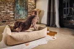 "Brauner, lockiger Hund spielt mit Winter Fun Spielzeug-Set auf Hundebett vor Backsteinwand und Fenster."