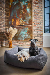 Graues CLASSIC Hundebett TEDDY mit zwei Hunden in stilvollem Raum, hellem Boden und modernen Kunstwerken.